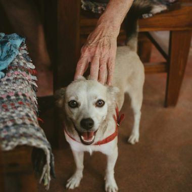 Photo credit: Lucía Reyes Alfranca