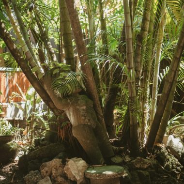 Photo credit: Lucía Reyes Alfranca