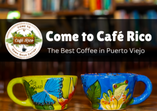 Coffee roasting process at Café Rico, known for the best coffee in Puerto Viejo Costa Rica, featuring small-batch roasting of Tarrazú beans in a jungle café setting