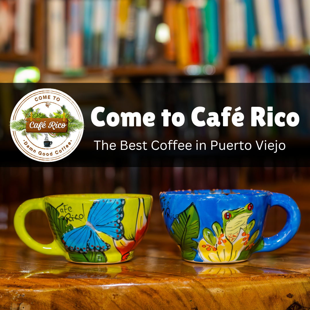 Coffee roasting process at Café Rico, known for the best coffee in Puerto Viejo Costa Rica, featuring small-batch roasting of Tarrazú beans in a jungle café setting