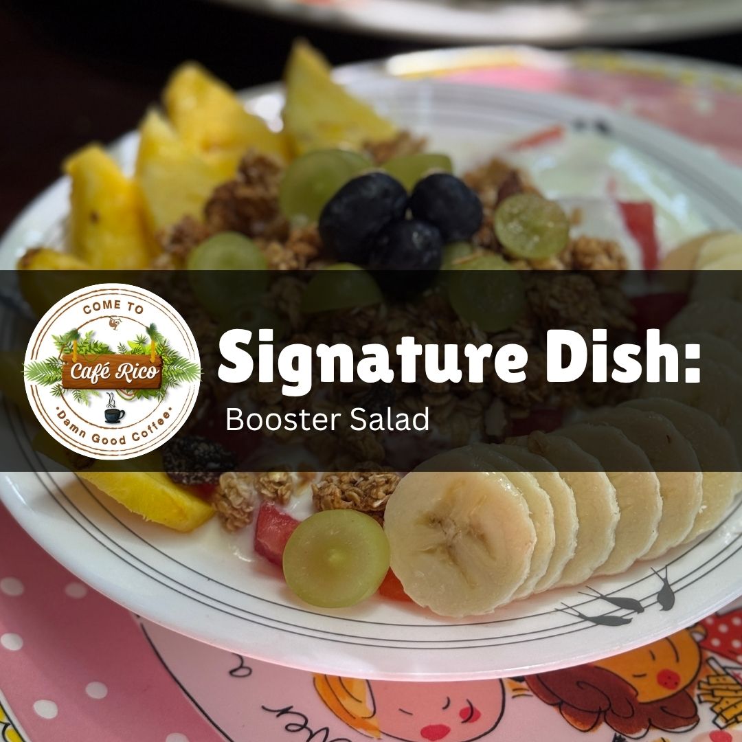 Booster Salad signature dish at Café Rico, known for the best breakfast in Puerto Viejo Costa Rica, with fresh local fruit, creamy yogurt, and crunchy granola served in a jungle café setting