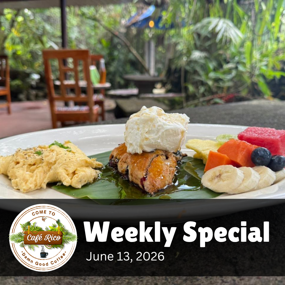 Homemade blueberry scones at Café Rico, known for the best breakfast in Puerto Viejo Costa Rica, topped with lemon syrup and fresh whipped cream and served with scrambled eggs and fresh fruit
